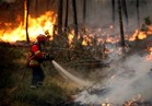مصرع 9 أشخاص جراء حرائق الغابات في البرتغال وإسبانيا