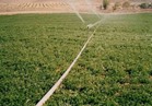 خلط مياه النيل بالصرف الزراعي لاستصلاح أراضي بسيناء