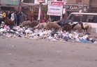 صور.."القمامة" تحتل شوارع شبرا الخيمة..والصناديق المخصصة مرفوعة من الخدمة