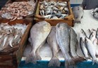 استقرار أسعار الأسماك في سوق العبور 