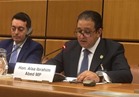 علاء عابد : البرلمان يتابع إنشاء وحدات حقوق الإنسان بالوزارات والمحافظات‏