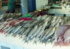 تعرف على أسعار الأسماك في سوق العبور 