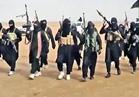 الحكم على 7 متهمين بـ"مركز تدريب داعش".. بعد قليل