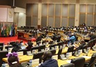 البرلمان الإفريقي يحذر الدول من تدخلات نظام الدوحة «الإرهابي»