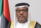 السفير الإماراتي بالقاهرة: نقف بكل عزم وقوة بجانب مصر في حربها ضد الإرهاب