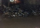 صحافة المواطن| القمامة تسيطر على « جسر نهر النيل »بالمنوفية