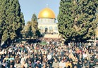 عاجل| انطلاق المظاهرات بفلسطين اعتراضا على قرار ترامب