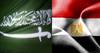المصريون بالرياض: العلاقات بين البلدين متينة وما حدث سحابة صيف