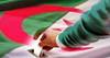 165 طعناً أمام المجلس الدستوري على نتائج الانتخابات الجزائرية