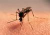 تطوير جهاز محمول زهيد الثمن لتحليل طفيل الملاريا
