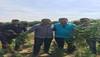 ​7 مزارع بانجو في حوزة هارب من المؤبد!