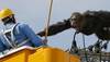 ​الشمبانزي تشاتشا يهرب من حديقة حيوان يابانية