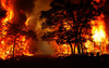 حرائق الغابات في جمهورية ياقوتيا الروسية تلتهم أكثر من 500 هكتار