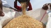 هيئة السلع التموينية تعلن عن مناقصة لاستيراد القمح من الخارج