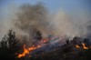 فلسطين تقدم المساعدة في إخماد الحرائق المندلعة بإسرائيل