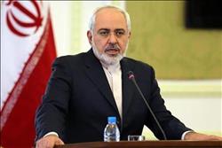 وزير الخارجية الإيراني يأمل في نجاح مؤتمر سوتشي في تسوية النزاع السوري
