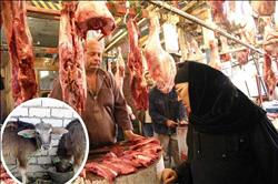 «إحياء البتلو».. اللحوم الحمراء تعود لموائد المصريين