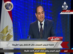 فيديو| السيسي: مصر لن تكون أبدًا قاعدة للإرهاب