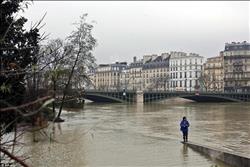 «السين» يهدد العاصمة الفرنسية ويجبر المتاحف على الإغلاق| صور