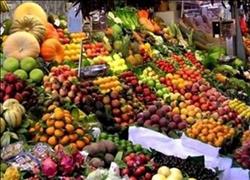 استقرار أسعار الفاكهة اليوم في سوق العبور