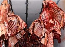 انخفاض أسعار اللحوم بالمحافظات.. و«الكندوز» يسجل 140 جنيهًا بالبحر الأحمر