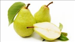توصيات«الزراعة» لمزارعي التفاح والكمثري خلال شهر فبراير.. تعرف عليها