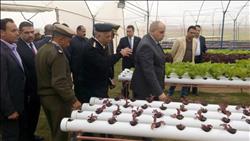 خاص| بالصور .. مدير السجون يفتتح 1700 فدان للمزارع النموذجية بوادي النطرون