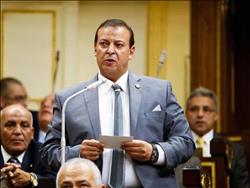 النائب حسين أبو جاد: "الجيش والشرطة قادران على تطهير مصر من الإرهاب الأسود"