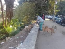 لقطة اليوم| علاء بلبل: "الكلاب والقطط "أعز أصدقائي .. صور