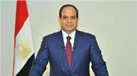قرار جمهوري بتحويل الجامعة المصرية للتعلم الإلكتروني الخاصة إلى«أهلية»