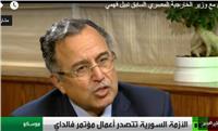 بالفيديو.. نبيل فهمي: مصر استعادت دورها واستقلالها في القرار السياسي