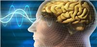 «الشيخوخة» تصيب الدماغ البشري بدءا من سن 25