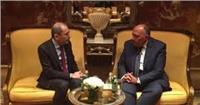 وزير الخارجية يبحث مع نظيره الأردني مستجدات القضية الفلسطينية