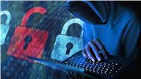 «التجارة الإلكترونية» خارج السيطرة.. كيف تحمي نفسك من «جرائم الإنترنت»؟