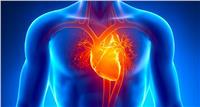دراسة: سكان البلدان الغنية أقل عرضة للموت بفشل القلب