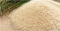 مناقصة جديدة للأرز.. و«التموين» تكشف حقيقة زيادة السعر