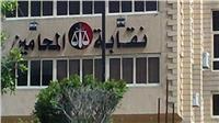 لجنة الحريات بـ«المحامين» تلاحق المعتدين على مريم قانونيا