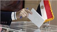 مصر تنتخب| أهم ما قاله سفراء مصر في إفريقيا عن الانتخابات الرئاسية 