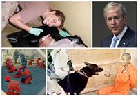 «سجن أبو غريب» .. جوانتنامو «بوش» على أرض العراق