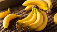 ننشر التوصيات الفنية لمزارعي «حدائق الموز» 