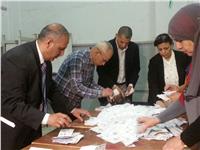 النتائج الأولية للانتخابات| 1573 صوتًا للسيسي و21 لموسى بلجنة 76 في دسوق 