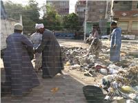 استجابة واسعة لحملة «نظف بيتك» بشوارع أسوان