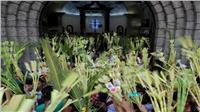 فيديو.. كنائس مصر تقيم قداس «أحد السعف»