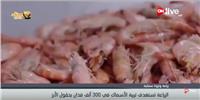 فيديو| «الزراعة»: استهداف 300 ألف فدان لتربية الأسماك بحقول الأرز