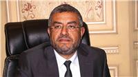 النائب عماد سعد: نتيجة الانتخابات الرئاسية استكمال للملحمة الوطنية 