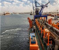 تداول 200 ألف طن سلع استراتيجية بميناء الإسكندرية    