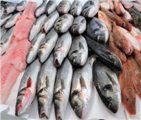 ارتفاع طفيف بـ«أسعار الأسماك» في سوق العبور اليوم