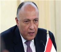 فيديو| سامح شكري: الإعلام المصري يعمل في إطار الشرعية القانونية