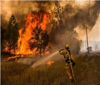 انتشار سريع لحريق غابات كاليفورنيا وإجلاء 2000 شخص