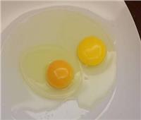 خبيرة تغذية : معرفة صحة البيض من لون الصفار
